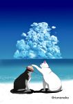  2others absurdres artist_name beach cat cloud cloudy_sky commentary cumulonimbus_cloud full_body hat hat_ribbon highres multiple_others no_humans ocean one_piece original outdoors red_ribbon ribbon riononeko sky straw_hat white_cat 