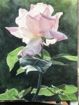  artist_name branch eyvzi172xqdkvs7 flower flower_focus highres leaf no_humans original painting_(medium) photo_(medium) plant plant_focus realistic rose signature still_life traditional_media watercolor_(medium) white_flower white_rose 