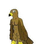  avian beak bird breasts brown brown_eagle brown_feathers eagle female looking_at_viewer naturally_censored navel nude plain_background shocked solo standing telem telem_kam white_background winged_arms wings yellow_eyes 