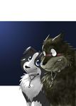  border_collie canine dog feral gabu kemono mammal one_stormy_night wolf 