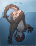  anthro anus breasts brown_fur brown_hair butt female fisk fur green_eyes hair jay_naylor mammal mustelid nipples nude otter plantigrade pussy red_(jay_naylor) solo underwater upside_down water wet 