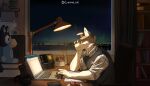 anthro aurora_(phenomenon) bluey_(series) cake canid canine chair city_skyline clothed clothing computer dessert detailed_background electronics food fur furniture furniture_lamp grey_body grey_fur headphones hi_res inside laptop lofi_girl looking_at_computer looking_at_object male mammal microphone night plushie sitting solo topwear vest white_body white_fur window yinglizi yuri_056