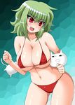  bikini breasts cleavage covered_nipples curvy green_hair kazami_yuuka large_breasts micro_bikini open_mouth red_eyes sawa_(snack_yoshie) short_hair skindentation solo string_bikini swimsuit touhou 