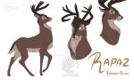 2_horns artist_logo artist_name bambi_(film) better_version_at_paywall black_nose brown_body brown_eyes brown_fur deer disney english_text feral fur horn logo male mammal model_sheet mouth_closed namygaga pupils quadruped rapaz_(oc) simple_background solo standing text url white_background white_sclera