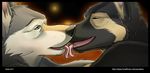  canine dog duo gay german_shepherd kashra keto kissing love male mammal radjinwolf tongue wolf 
