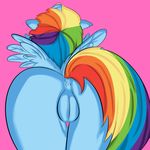  anus back_turned bishope butt butt_shot close-up equine female feral friendship_is_magic hair mammal multi-colored_hair my_little_pony nude pegasus pink_background plain_background presenting presenting_hindquarters pussy rainbow_dash_(mlp) rainbow_hair raised_tail solo tail thigh_gap thighs wings 