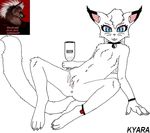  blackwolf cat claws fangs feline female hair mammal milk paws pink_ears pouring_milk pussy smile solo teeth white_cat white_hair 