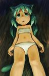  animal_ears blush crying crying_with_eyes_open from_below green_eyes green_hair long_hair navel original panties pappii paprika_shikiso solo tail tears underwear underwear_only white_panties 