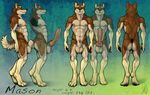  abs akita_inu animal_genitalia balls biceps big_balls big_penis canine canine_penis color dog erection hi_res huge_penis hyper knot looking_at_viewer male mammal mason model_sheet muscles nipples nude pecs penis plain_background smile solo standing suck_mcjones tail thick_penis vein veins 