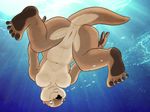  blue_eyes breasts female gajo looking_at_viewer mammal mustelid nude otter plantigrade pussy solo swimming underwater water 