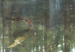  2013 dimorphodon dimorphodon_macronyx feral flying hi_res pterosaur reflection reptile scalie solo teeth traditional_media_(artwork) tuomas_koivurinne water winged_arms wings 
