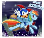  2011 black_eyes crossover equine female friendship_is_magic hat hedgehog horse male multi-colored_hair my_little_pony pegasus pony rainbow_dash_(mlp) rainbow_hair rainbow_tail red_eyes sega sonic_(series) sonic_the_hedgehog sssonic2 wings xmas xmas_hat 