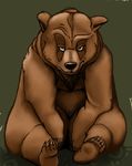  andrige bear chubby druid magic_user mammal naturally_censored overweight sitting stare that_look tribal_spellcaster triggerman video_games warcraft world_of_warcraft 