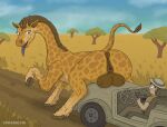 animal_genitalia animal_pussy anus big_butt big_teats blue_tongue bodily_fluids brown_hair butt camera car clothed clothing crotch_breasts detailed_background duo female feral genitals giraffe giraffid hair hat headgear headwear hi_res human imminent_sex larger_female larger_feral long_neck long_tongue looking_back male mammal open_mouth plant presenting presenting_anus presenting_hindquarters presenting_pussy presenting_teats pussy raised_tail savanna size_difference sky smaller_human spots strohdelfin sweat tail teats tongue tree vehicle