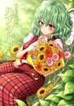  blonde_hair blue_eyes bouquet cover cover_page flower green_hair hammock kazami_yuuka mokku red_eyes solo sunflower touhou wavy_hair 