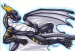  black_dragon dragon drgn8d erection looking_at_viewer male penis plain_background solo tail wings xerxes 