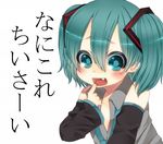  hatsune miku tagme 