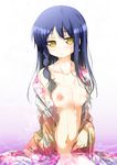  blue_hair blush braid breasts bug butterfly collarbone floral_print groin insect japanese_clothes kimono kirino_sami kyou_ami! long_hair looking_at_viewer medium_breasts navel nipples no_panties off_shoulder open_clothes partially_submerged porurin solo water wet wet_clothes yellow_eyes 