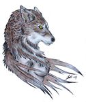  black_wolf_(artist) breasts canine female fur grey grey_fur mammal plain_background solo white_background wolf yellow_eyes 