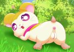 absurd_res artist_logo butt cricetid female female_feral feral fur genitals grass hamster hamtaro_(series) hamtaroso hi_res logo looking_at_viewer looking_back looking_back_at_viewer lying mammal on_front pashmina_(hamtaro) pink_scarf plant plump_labia presenting presenting_hindquarters presenting_pussy pussy rodent scarf solo tan_body tan_fur white_body white_fur