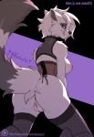  2023 anthro areola big_breasts big_butt black_nose blue_eyes bodily_fluids breasts butt clothing corset digital_media_(artwork) female fleet-foot fluffy fluffy_tail fur genital_fluids genitals grey_body grey_fur hi_res jack-jackal_(character) leggings legwear lingerie looking_at_viewer looking_back mammal nipples pink_areola pink_nipples pink_pussy presenting presenting_hindquarters presenting_pussy procyonid pussy raccoon robin_raccoon simple_background smile solo tail tongue tongue_out topwear vaginal_fluids 