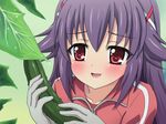  blush cucumber gloves hair_ornament hairclip hercule_barton leaf long_hair mameshiba open_mouth purple_hair red_eyes sexually_suggestive smile solo tantei_opera_milky_holmes track_suit 