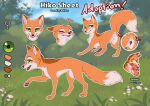 abby_(rukifox) animal_genitalia animal_pussy anus canid canine canine_genitalia canine_pussy female feral fox fur genitals green_eyes hiko_(rukifox) humanoid_genitalia humanoid_genitalia_on_feral humanoid_pussy humanoid_pussy_on_feral mammal model_sheet orange_body orange_fur pussy raised_tail rick_(rukifox) rukifox tail
