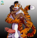 abs age_difference anthro anthro_dominating_human balls big_balls big_dom_small_sub big_pecs big_penis black_hair carrying_another carrying_partner dominant dominant_anthro dominant_male duo erect_nipples erection fangs felid french_kissing fur genitals hair hi_res holding_partner hug human human_on_anthro interspecies kissing male male/male mammal multicolored_body multicolored_fur nipples nude older_anthro older_anthro_younger_human older_dom_younger_sub older_male older_on_young orange_body orange_fur pantherine pecs penis pluke romantic romantic_couple size_difference smaller_human smaller_male stripes submissive submissive_human submissive_male teeth tiger white_body white_fur younger_human younger_male