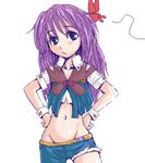  artist_request bug butterfly copyright_request insect lowres midriff oekaki purple_hair solo 