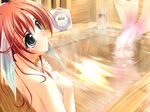  aquanauts_of_a_morning_calm asanagi_no_aquanauts bath mermaid monster_girl water 