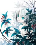  bad_id bad_pixiv_id banned_artist berries blue_eyes kawasumi_(japonica) leaf looking_at_viewer nature original outdoors plant short_hair solo topless white_hair 