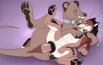  4_toes 6_nipples black_pawpads black_pussy blue_eyes brielle_(wolffylegend) brown_body brown_fur canid canine canis dasyuromorph duo erection eyewear fangs feet female female_penetrated feral feral_on_feral feral_penetrated feral_penetrating feral_penetrating_feral fur genitals goggles goggles_around_neck green_eyes grin hi_res killthe_demon lying male male/female male_penetrating male_penetrating_female mammal marsupial multi_nipple nipples on_side pawpads penetration penile penile_penetration penis penis_in_pussy pink_penis pussy recently_extinct_species sex simple_background smile spread_legs spreading teeth thylacine thylus toes vaginal vaginal_penetration white_body white_fur wolf 