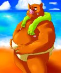  2011 anthro beach belly boar brown_fur doran_(pixiv_artist) eyewear fur glasses humanoid_hands male mammal moobs nipples overweight overweight_male porcine seaside solo towel water 