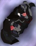  69_position animal_genitalia animal_penis balls black_body black_fur brown_eyes canid canine canine_genitalia canine_penis duo erection feral feral_on_feral feral_penetrated feral_penetrating feral_penetrating_feral fur genitals glistening glistening_eyes grey_balls grey_body grey_fur hi_res killthe_demon knot lying male male/male male_penetrated male_penetrating male_penetrating_male mammal on_side oral penetration penis penis_in_mouth pink_penis red_penis sex side_view simple_background yellow_eyes 