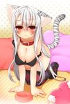  1girl :&lt; all_fours animal_ears argyle argyle_legwear bare_shoulders bent_over blush bowl breasts cat_ears cat_tail cleavage collar highres inuue_kiyu large_breasts leaning_forward long_hair off_shoulder original patterned_legwear pillow red_eyes solo tail tank_top tears thighhighs white_hair 