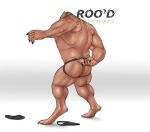 awarebear back_muscles body_hair butt claws clothed clothing clothing_aside demi_transformation ear_transformation flip_flops footwear growth hi_res humanoid jockstrap jockstrap_aside jockstrap_only kangaroo macropod male mammal marsupial mid_transformation muscular muscular_male product_placement sandals shaved_head shoes simple_background solo tail tail_growth tattoo topless touching_tail transformation underwear underwear_aside underwear_only