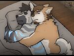 anthro beard bedding blanket canid canine canis cuddling doqofwar duo facial_hair fur grey_body grey_fur hi_res hug hugging_object hugging_pillow maggotnizer male male/male mammal pillow shirtless shirtless_male slicked_back_hair stripes tan_body tan_fur wolf