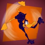 2023 3_toes 4_fingers anatid anseriform anthro athletic athletic_anthro athletic_male avian beak biped bird black_body black_feathers black_nose butt butt_pose casual_nudity colored curvy_figure daffy_duck digital_drawing_(artwork) digital_media_(artwork) duck feathers feet fingers flat_colors gavanzude glance handstand head_tuft hi_res humanoid_hands humanoid_heel looking_at_viewer looney_tunes male membrane_(anatomy) nude on_one_hand open_mouth orange_beak orange_bill orange_legs pinup plantigrade pose rear_view scut_tail short_tail signature smile smiling_at_viewer soles solo spine tail toes tuft upside_down warner_brothers webbed_feet white_sclera
