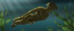 anthro archshen argonian balls bethesda_game_studios bodily_fluids clothing digital_media_(artwork) erection foreskin genital_fluids genital_piercing genitals green_body green_scales hi_res humanoid_genitalia humanoid_penis male microsoft nude penis penis_piercing piercing precum scales scalie seaweed skyrim smile solo swimming tail the_elder_scrolls underwater water xbox_game_studios