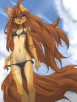 2025 3:4 5_fingers abdominal_tattoo anthro apogee_(tinygaypirate) arm_tattoo bikini bikini_bottom bikini_top breasts brown_eyes brown_hair brown_tail canid canine canis clothed clothed_anthro clothed_female clothing cloud countershade_torso countershading day digital_media_(artwork) domestic_dog ear_piercing female fingers front_view fur hair hi_res hip_tattoo inner_ear_fluff leg_tattoo long_hair long_tail looking_at_viewer mammal navel neck_tattoo one_ear_up outside piercing sky small_breasts solo standing swimwear tail tan_body tan_fur tattoo teeth thigh_tattoo tinygaypirate tuft two-piece_swimsuit
