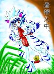  1boy animal_ears byakko_no_kogenta cat_ears cat_tail catboy fundoshi furry male male_focus onmyou_taisenki solo tail underwear 