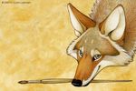  canine coyote kyoht_luterman mammal paintbrush self_portrait solo were 