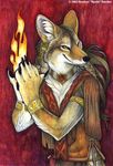  canine coyote fire kyoht_luterman mammal solo warm_colors were 