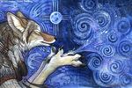  abstract_background anthro bipedal black_claws black_nose blowing blue_background canine coyote dreamcatcher ear_fluff eyes_closed feather fur grey_fur indian kyoht_luterman mammal moon native_american plain_background solo spiral stars were 