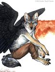  canine coyote kyoht_luterman mammal solo were wings 