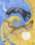  canine coyote duo feral fox hati kyoht_luterman mammal moon skoll sun were yin_and_yang yin_yang 