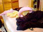  bed blanket blow cgi computer_mouse cute cutie_mark equine female feral fluttershy! fluttershy_(mlp) friendship_is_magic get hair hallucination horse keyboard_(computer) mammal mix my my_little_pony natmaxex off pegasus pink_hair pony real sleeping solo wings 