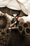  am24 breasts dress_shirt flower highres kazami_yuuka medium_breasts pale_color parasol plaid shirt solo spot_color sunflower touhou umbrella 