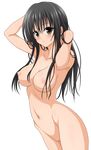  naked nipples pussy to_love_ru transparent_png vector_trace 