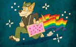  canine hat male nyan_cat poptart rainbow running solo stars wolf 